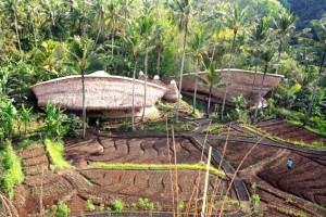 green school bali gardens