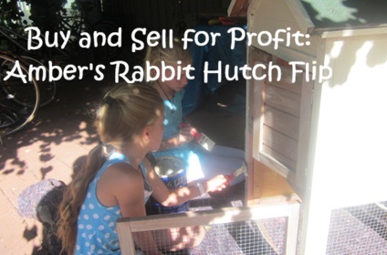 Buy and sell for profit with Amber's rabbit hutch flip