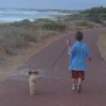 Dog walking business for kids shown through Kit Howitt walking a dog