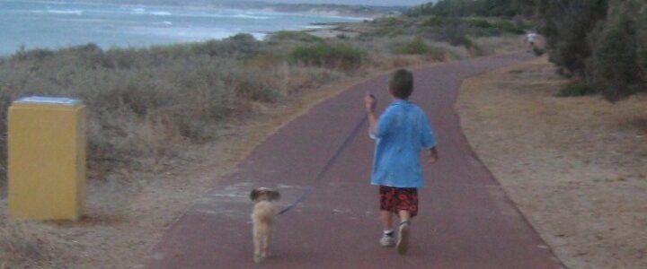 Dog walking business for kids shown through Kit Howitt walking a dog