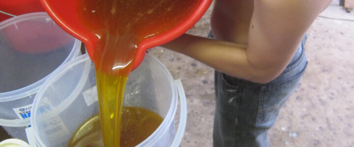 Money lessons for kids shown through Flynn pouring honey for his business