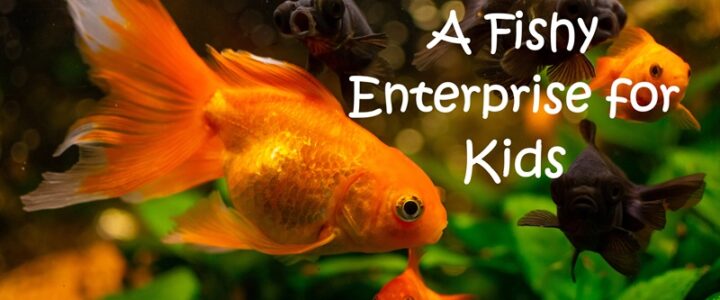 Colourful aquarium fish representing pet business ideas for kids