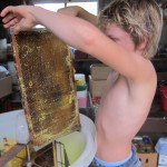 Flynn extracting honey for his kids business story