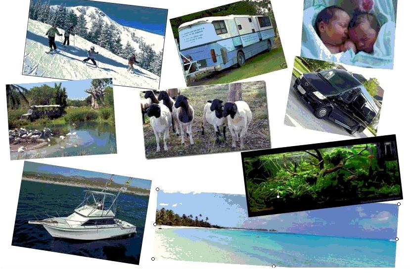 Trevor's vision board featuring a San Diego Zoo Safari Park image and other life goals